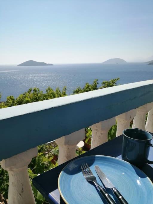公寓 Rodon In Spilia Leros *