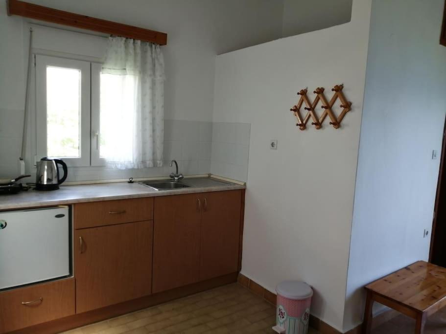 公寓 Rodon In Spilia Leros